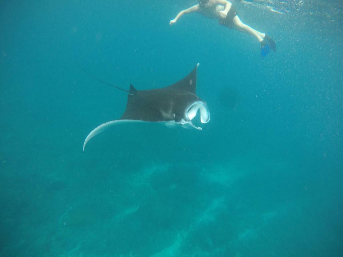Sea Bridge Villa Ceningan นูซาเลมโบงัน ภายนอก รูปภาพ